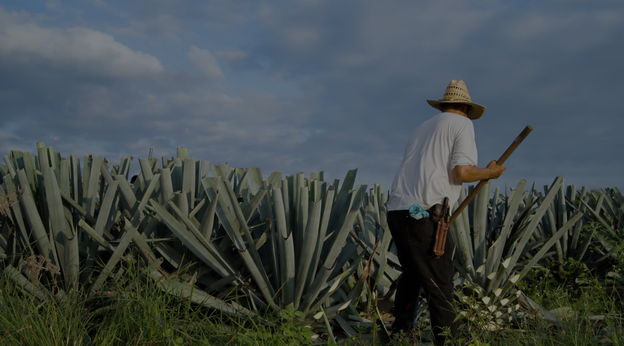Our Tequila Navigation Background Image